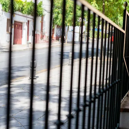 Bocanegra 3* Granada